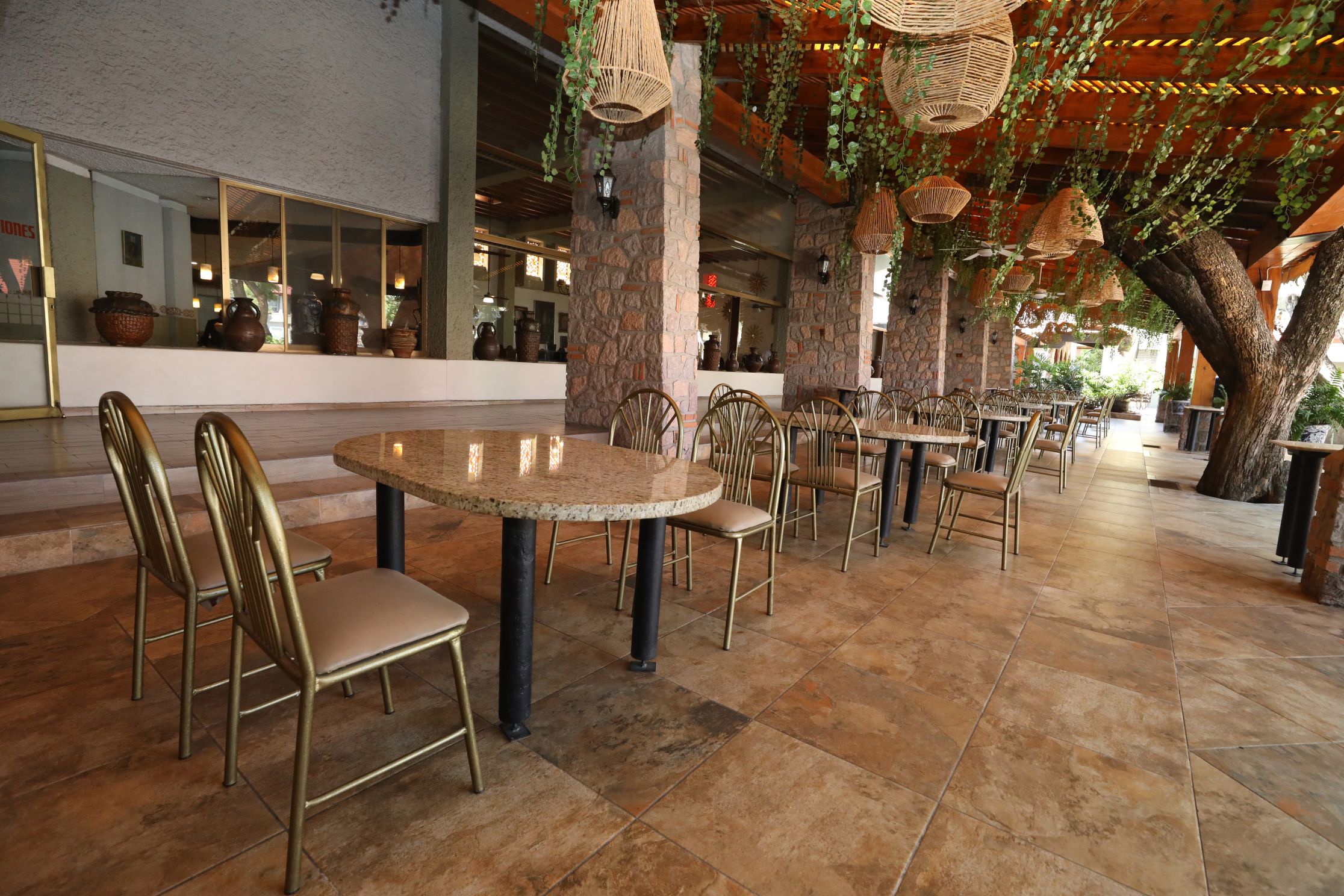 Terraza Jacarandas